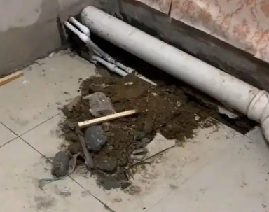 桐梓卫生间漏水检测哪家好
